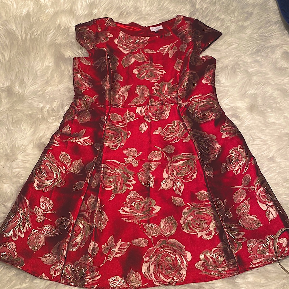 The childrens place Christmas mommy & me red rose dress